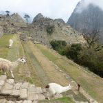 Machu Picchu, Peru