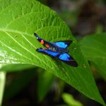 Tarapoto, Peru