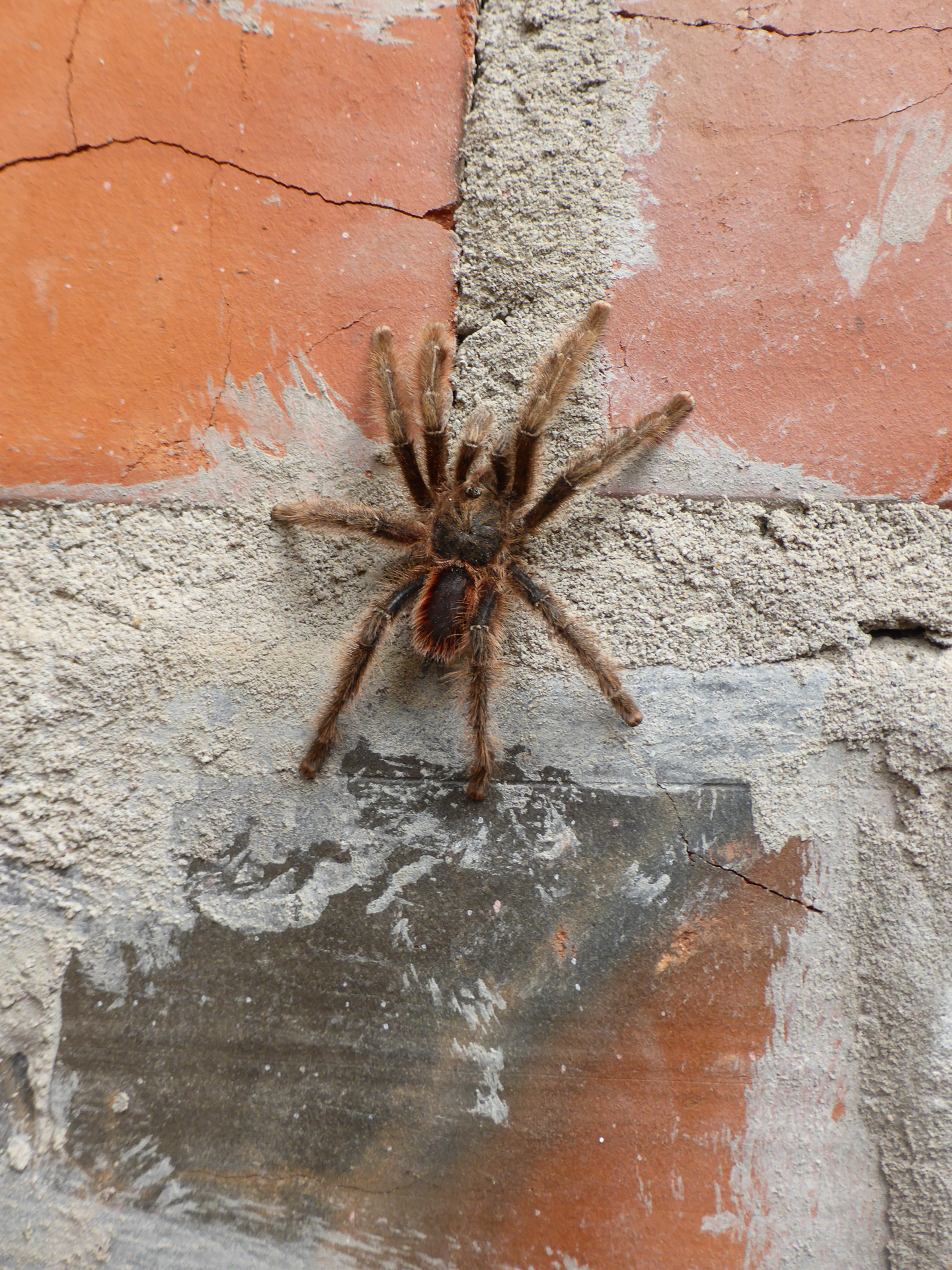 Tarapoto, Peru