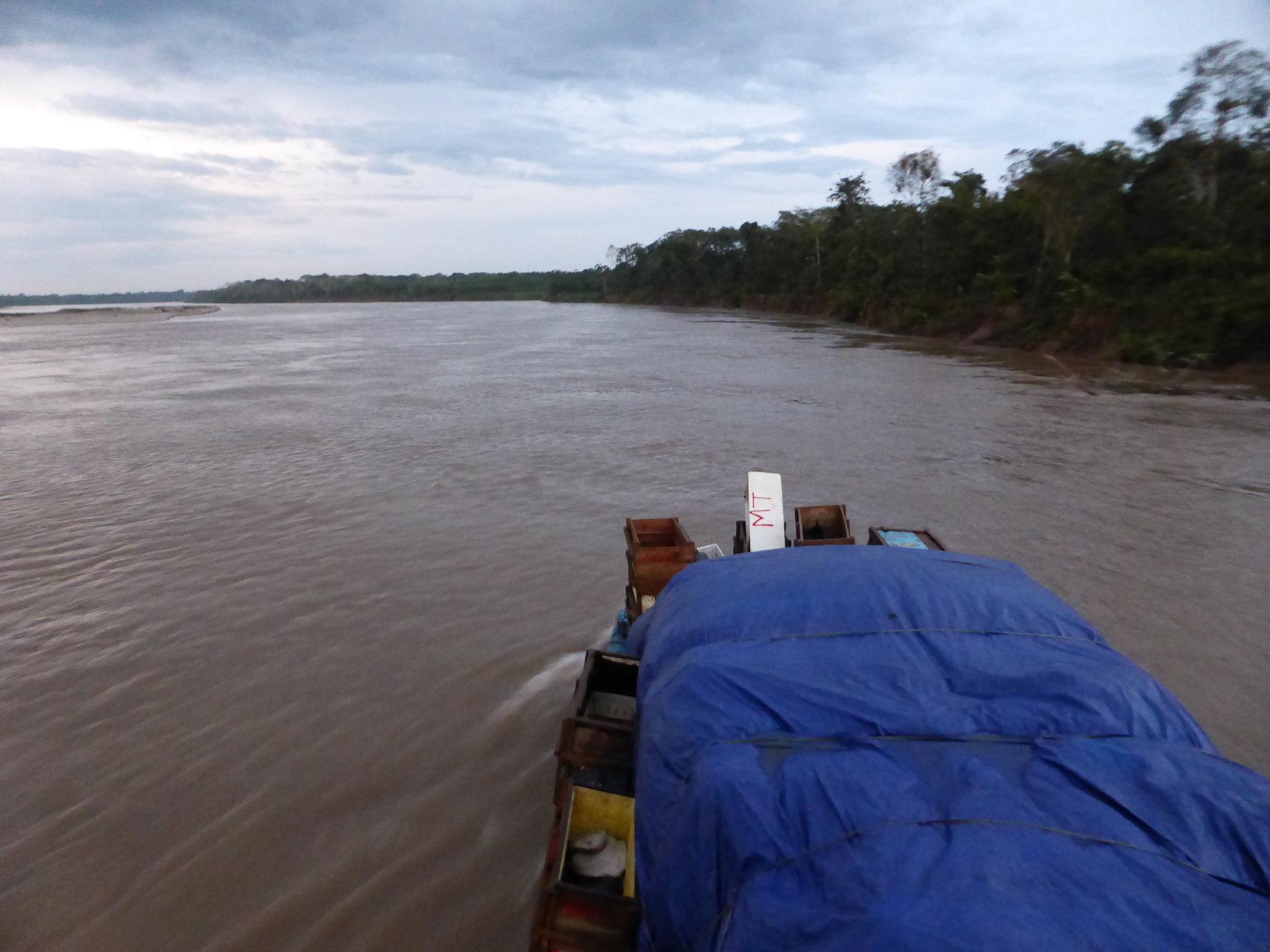 Amazon, Peru