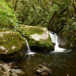 Acaime park, Cocora, Filandia