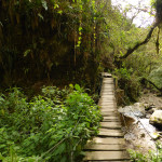 Acaime park, Cocora, Filandia