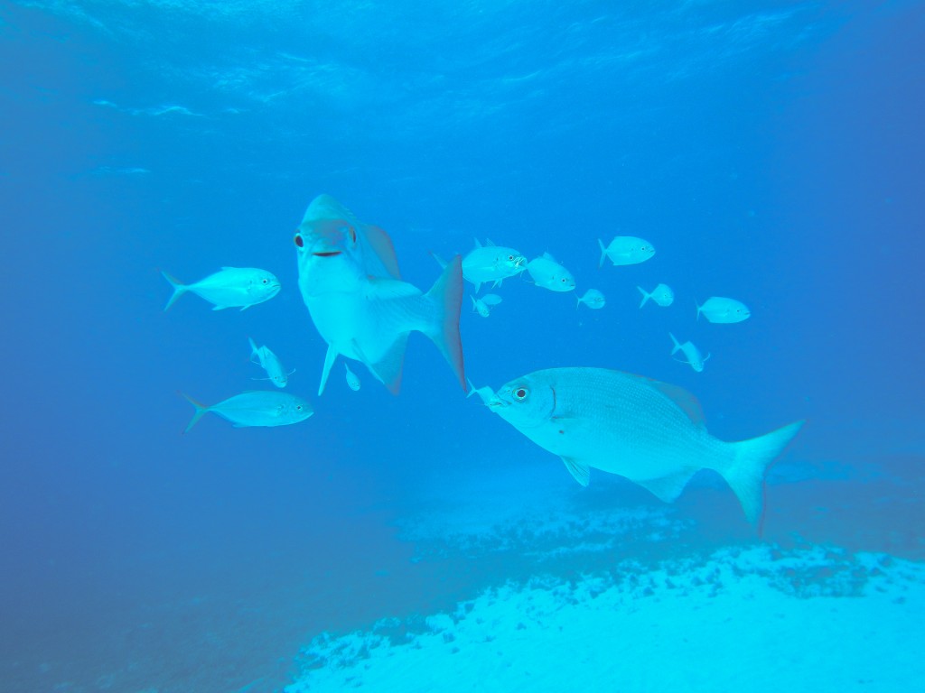 San Andres, Colombia