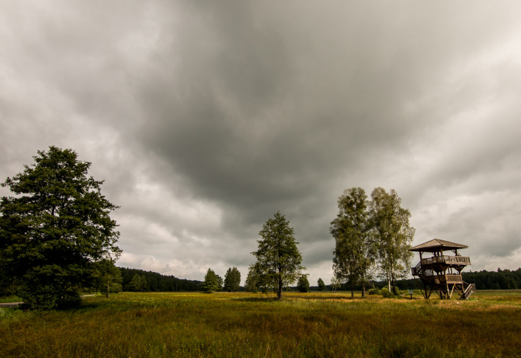 Białowieża, Poland