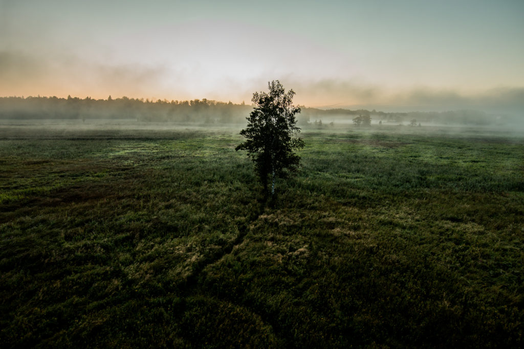 Białowieża, Poland