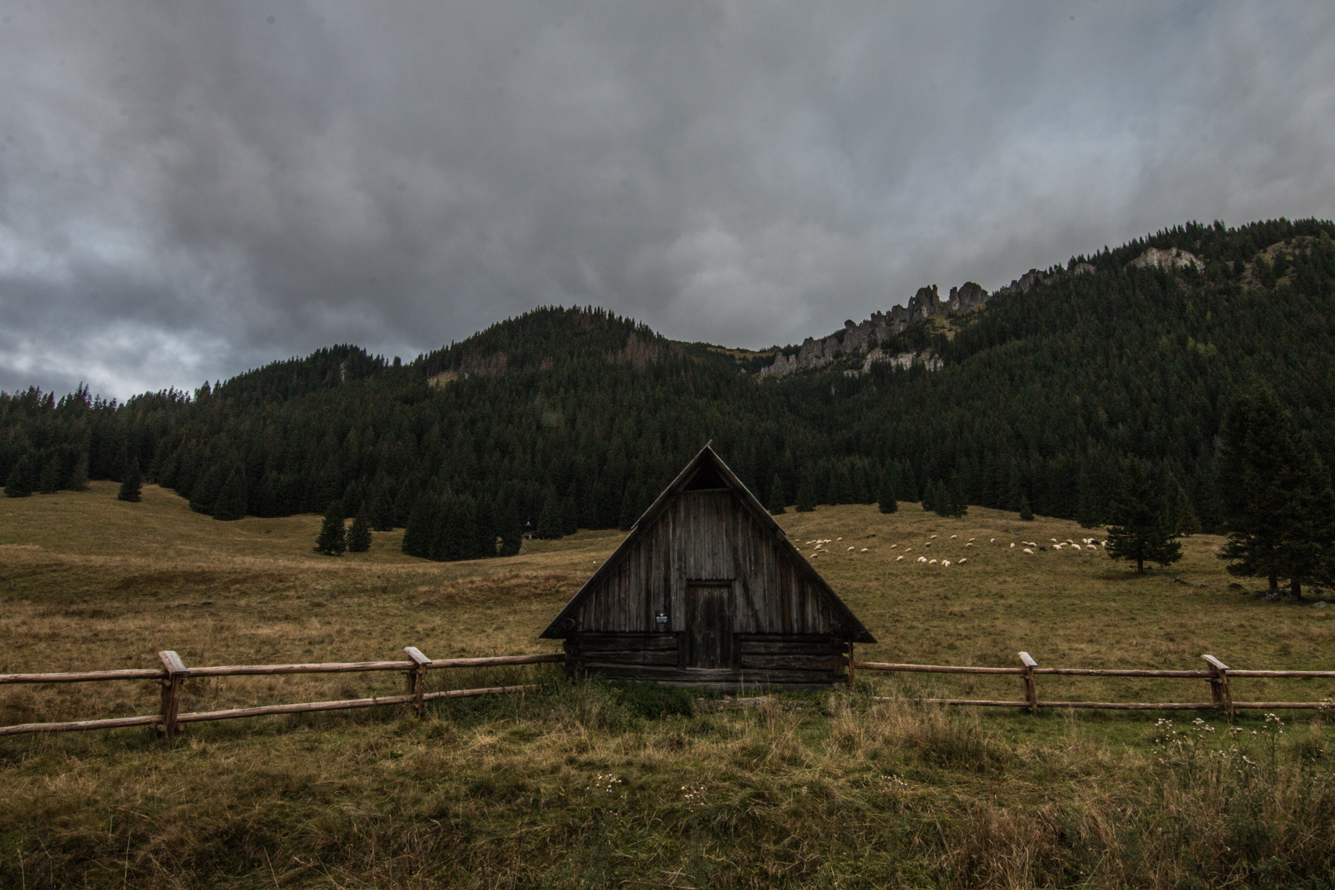 Tatra, Poland