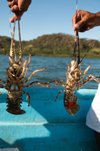 Isla Venado