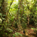 Longo Mai, Costa Rica