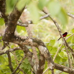 Panama City, Panama