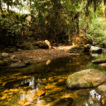 Lost City hike, Colombia