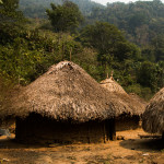 Lost City hike, Colombia