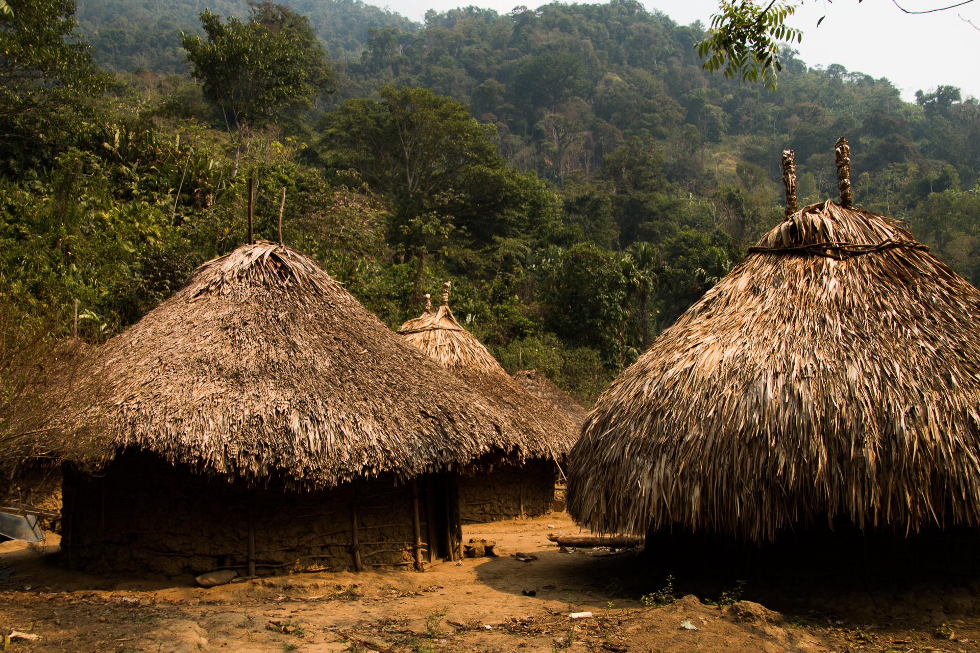 Lost City hike, Colombia