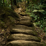 Lost City hike, Colombia