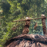 Lost City hike, Colombia