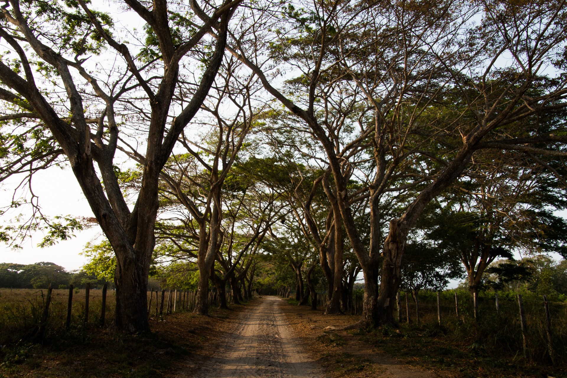 Palomino, Colombia