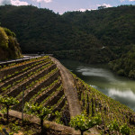 Canon del Sil, Galicia, Spain