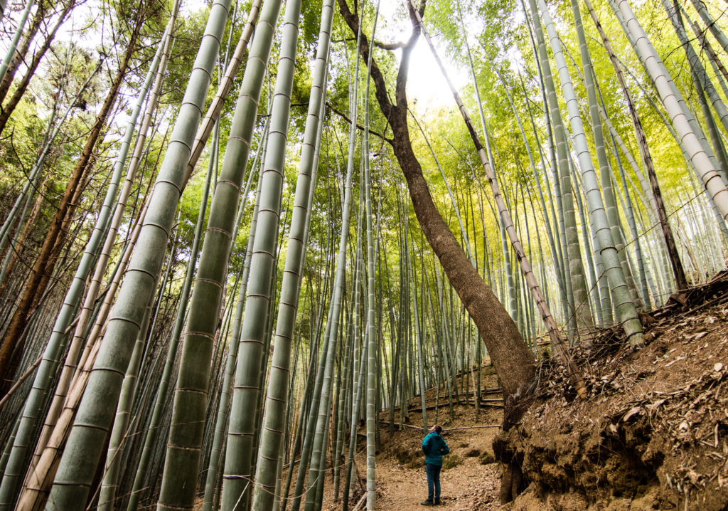 Matsuyama, Japan