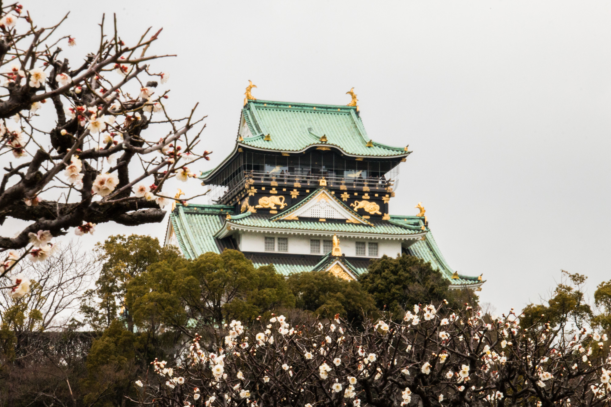 Osaka, Japan