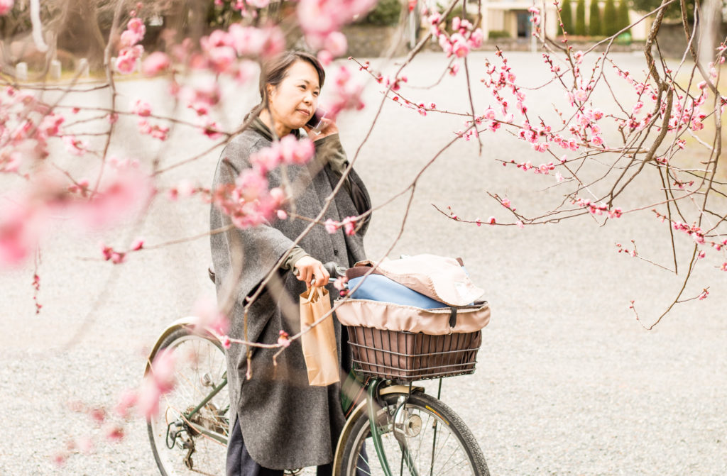 Plum blossom, Kyoto, Japan
