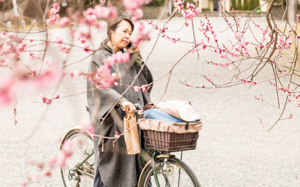 Plum blossom, Kyoto, Japan