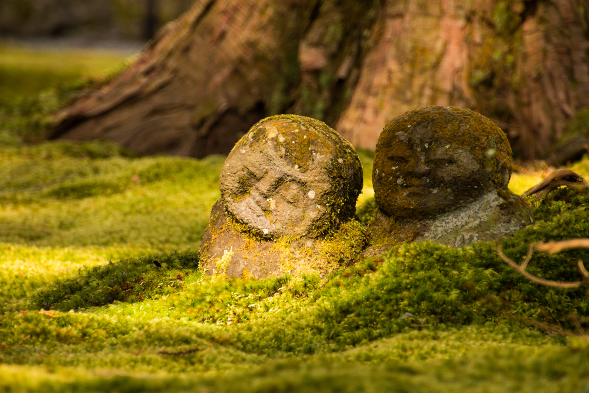 Sanzenin, Ohara, Japan