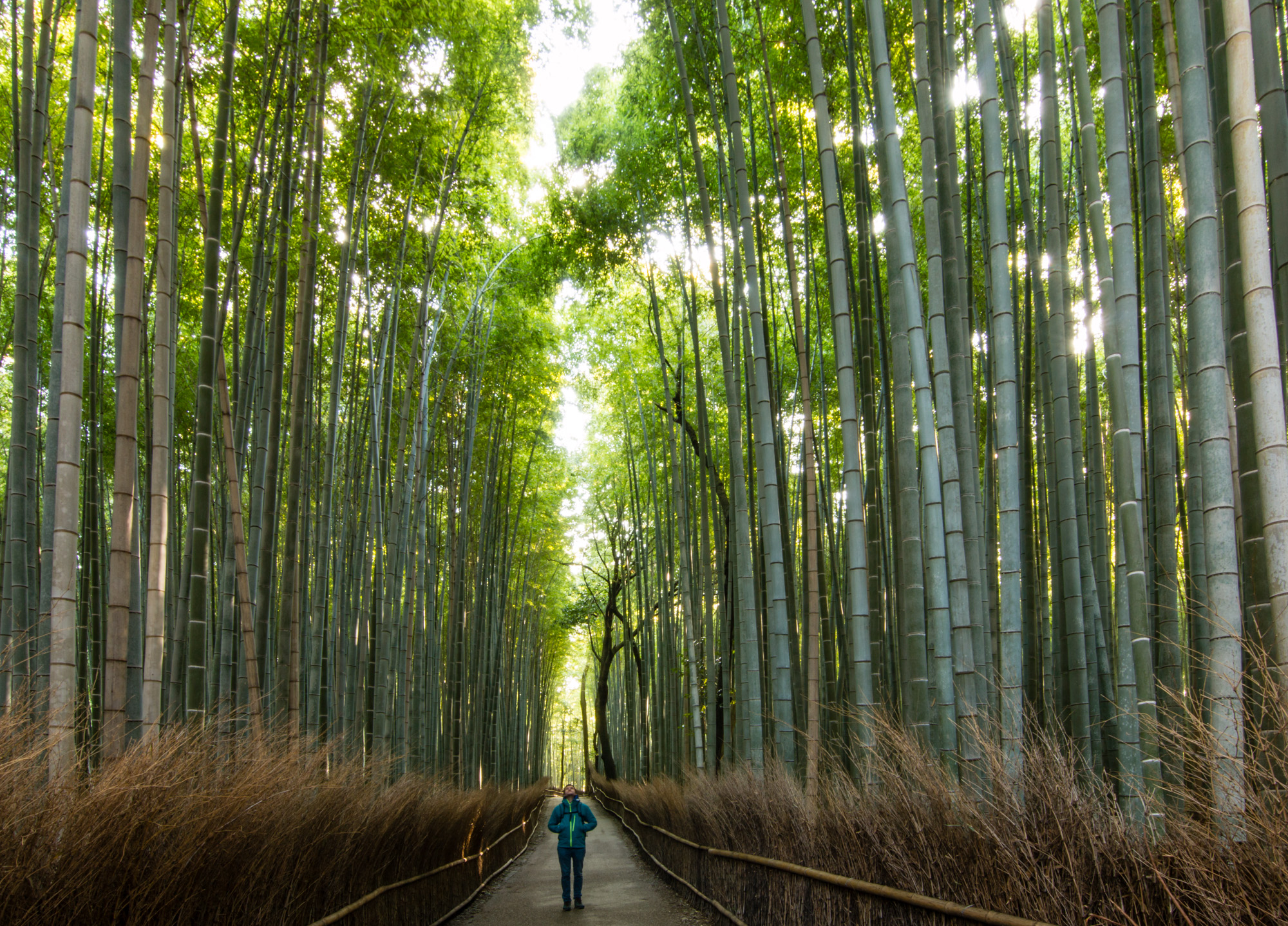 Kyoto, Japan