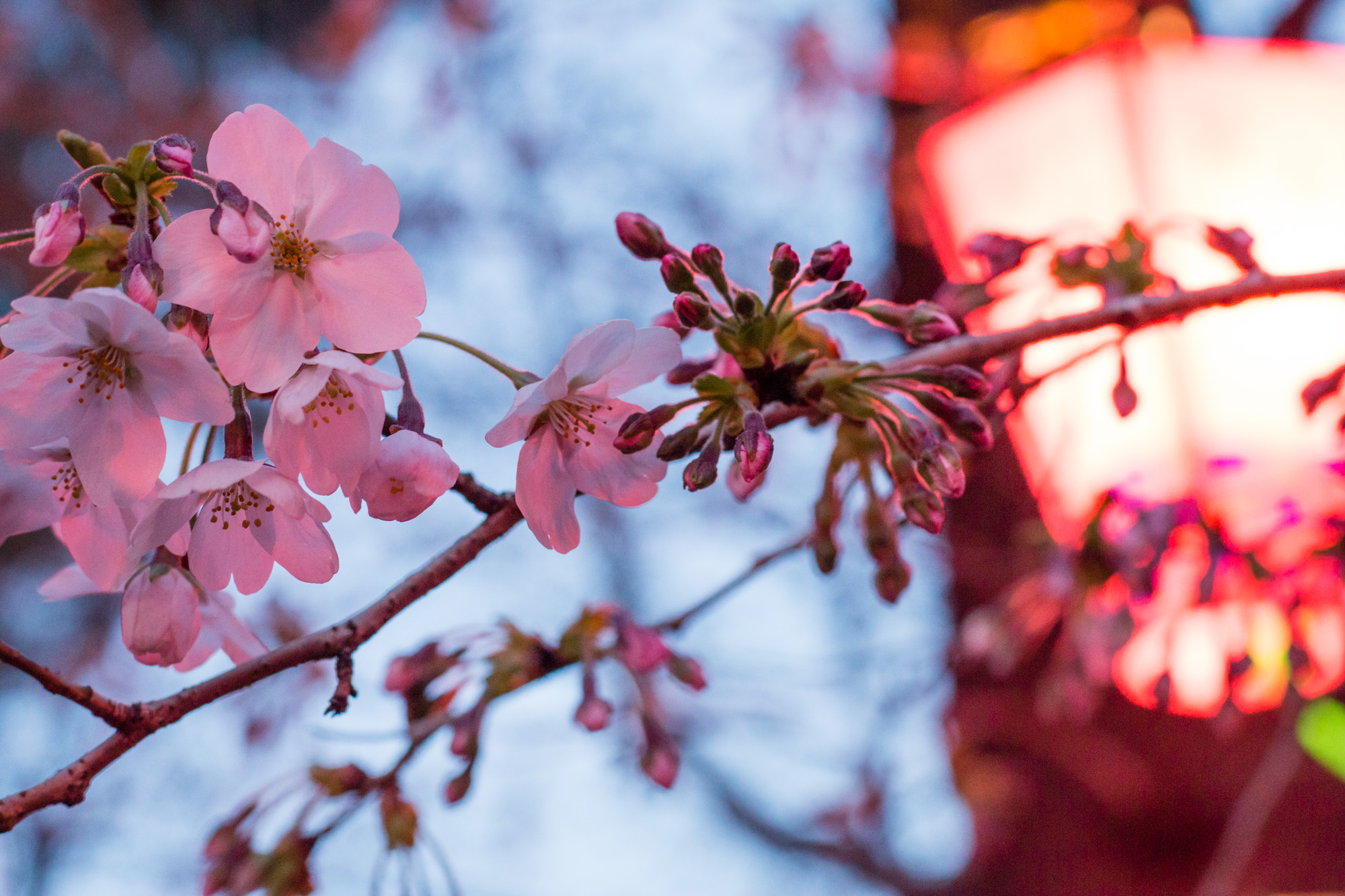 Nagoya, Japan