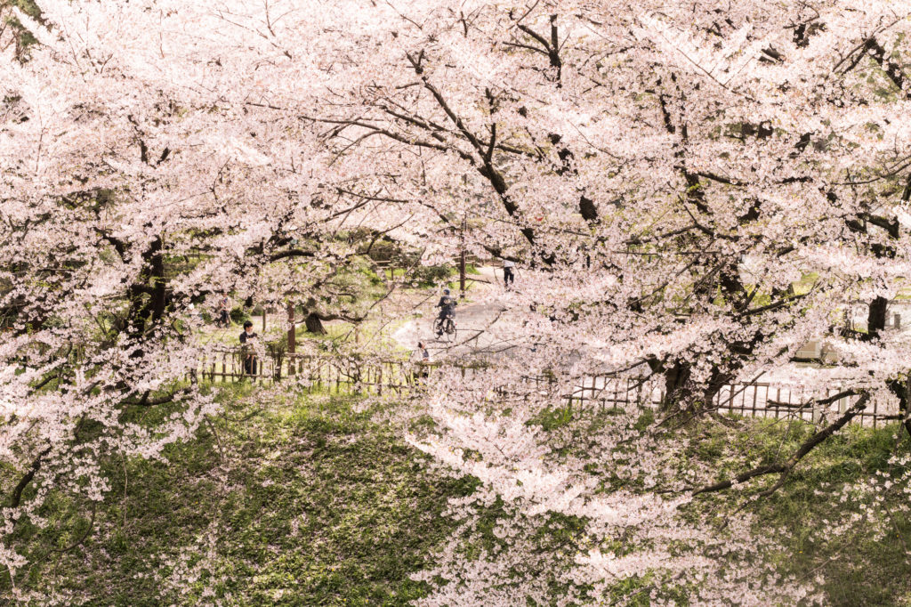 Nagoya, Japan