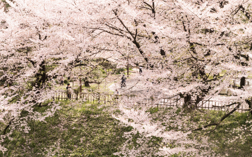 Nagoya, Japan