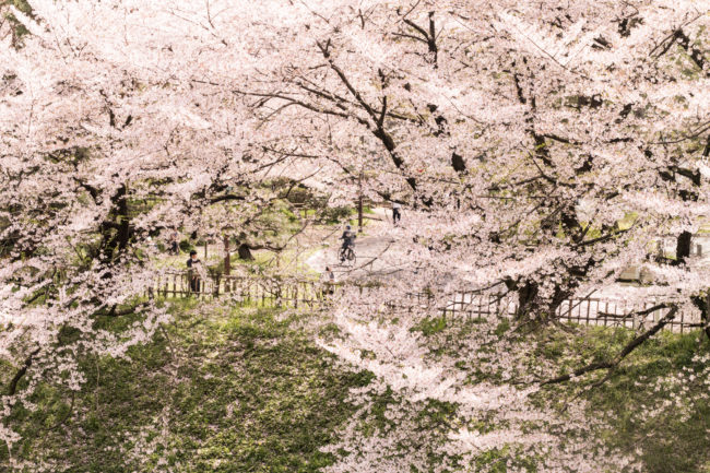 Nagoya, Japan