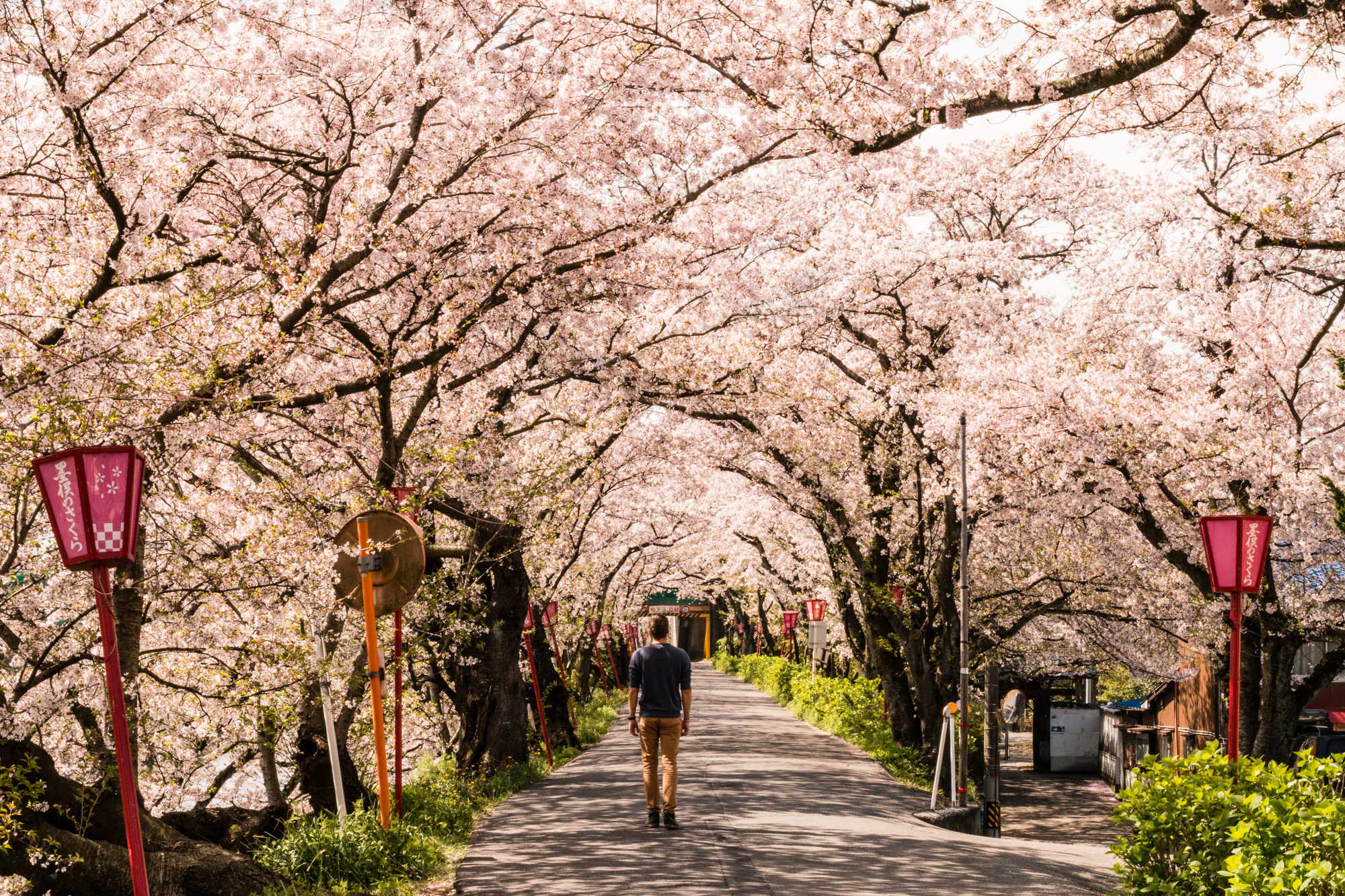 Gifu, Japan