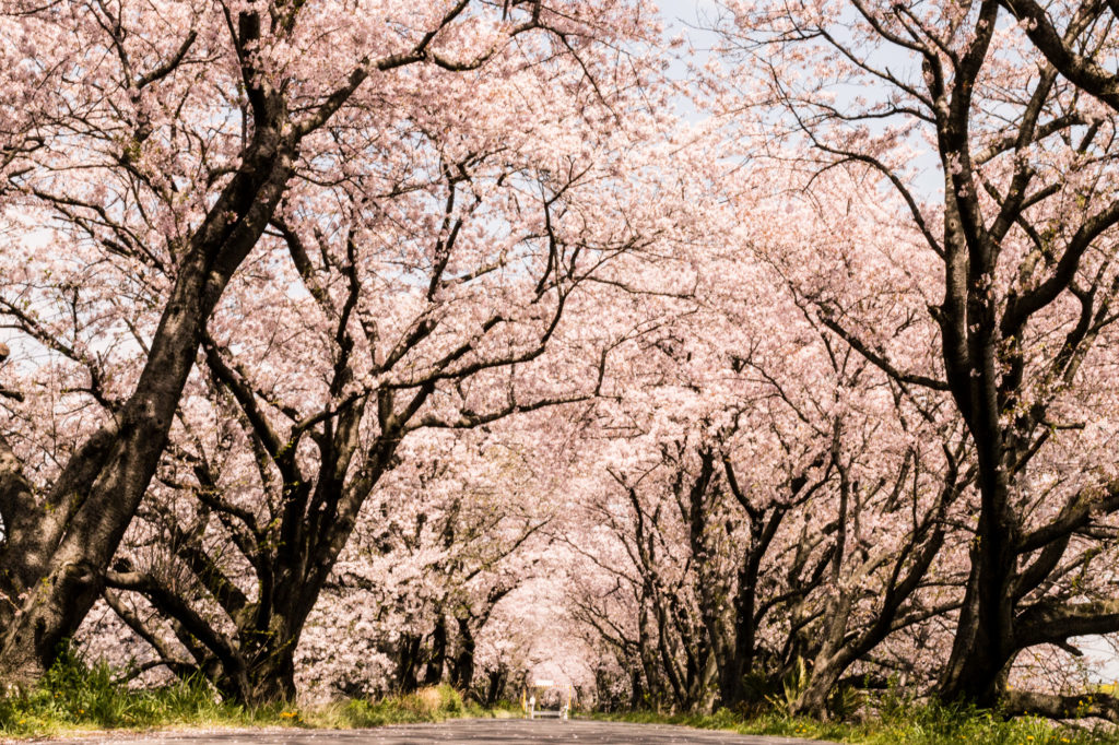 Gifu, Japan