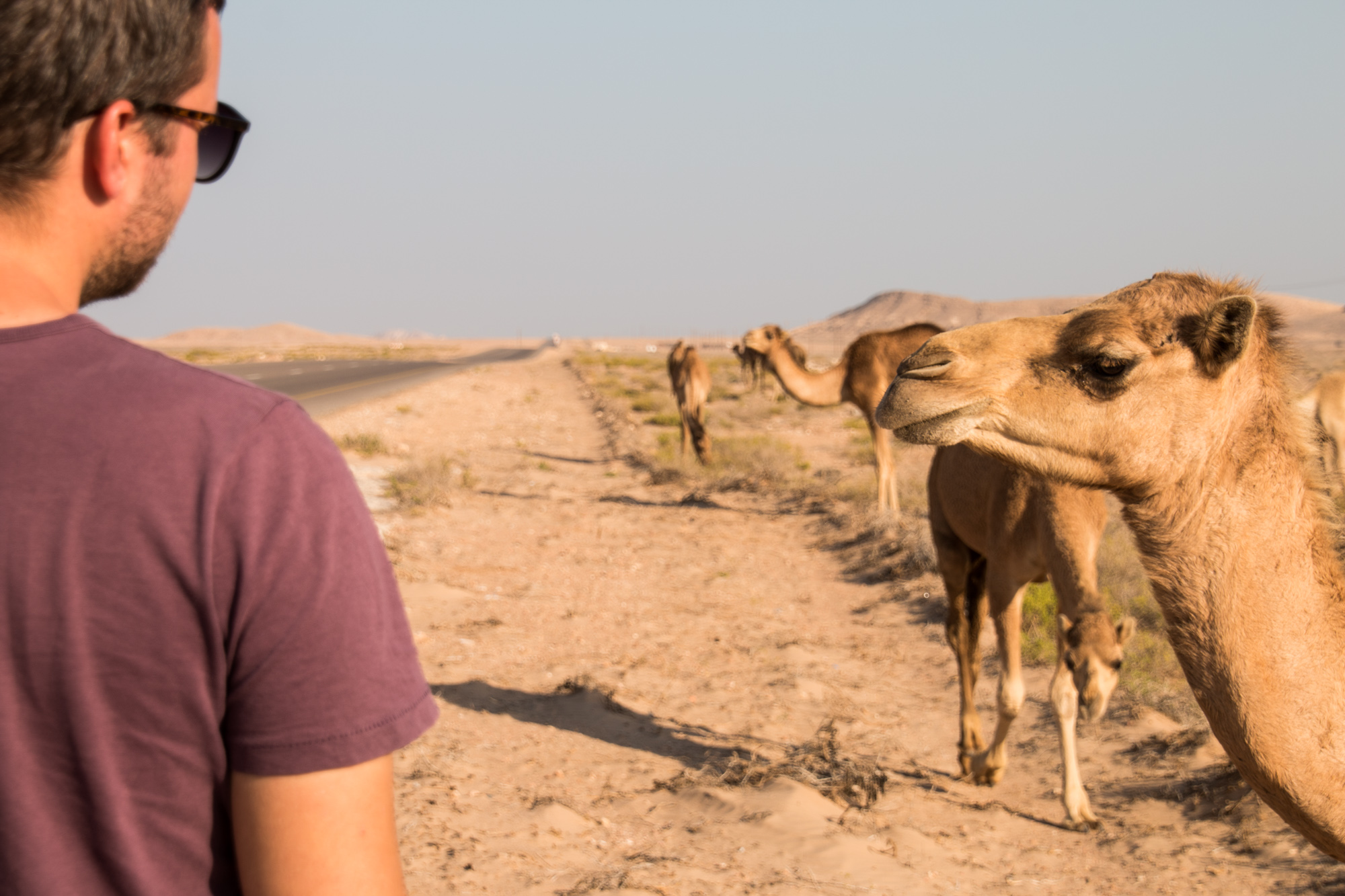 Roadtrip, Oman