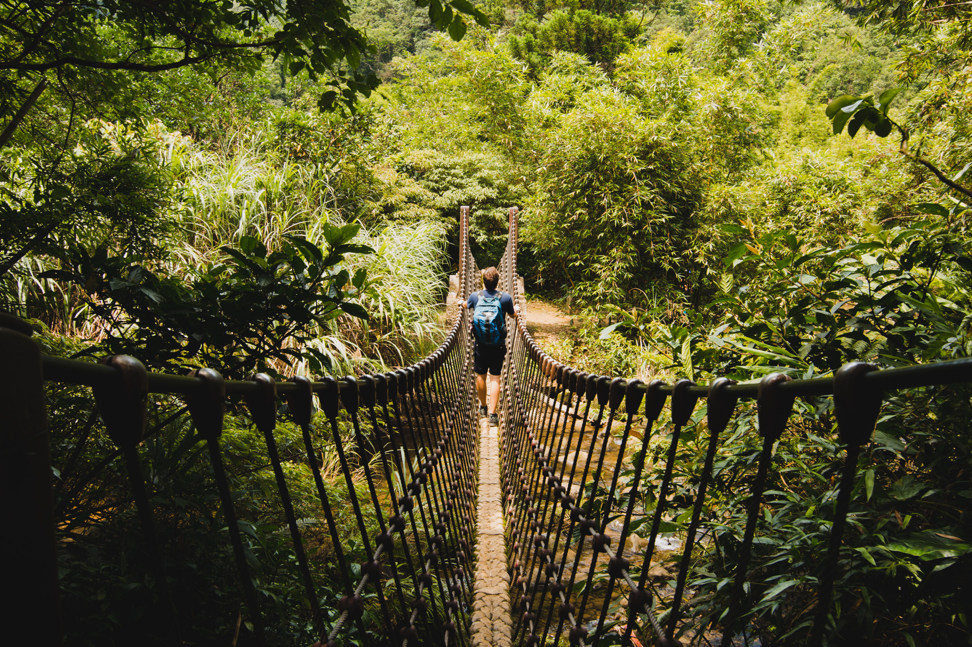 Vine bridge, waterfalls, Taiwan