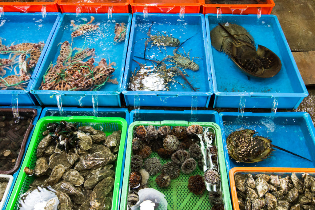 The seafood market, Taiwan