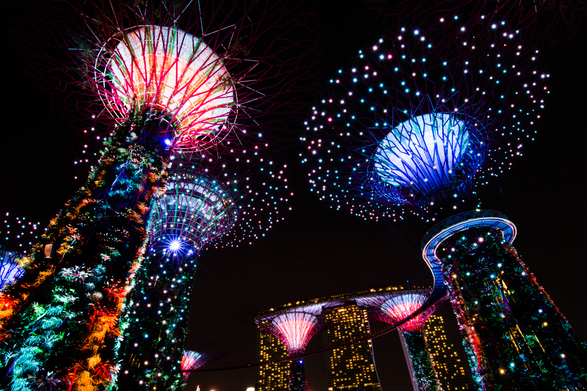 Supertree Grove, Singapore