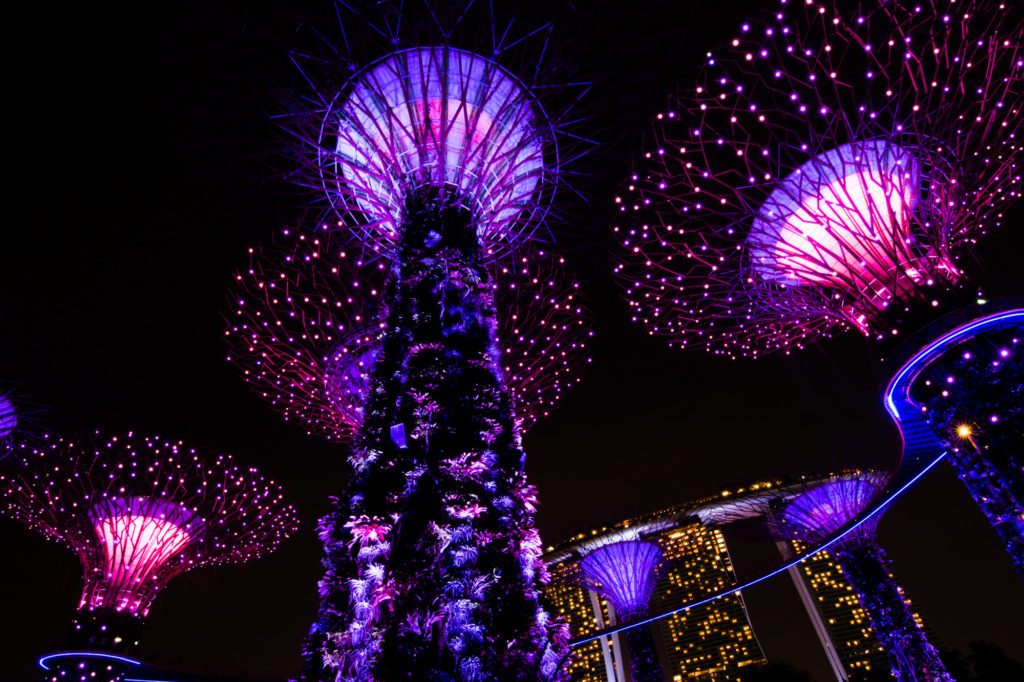 Supertree Grove, Singapore