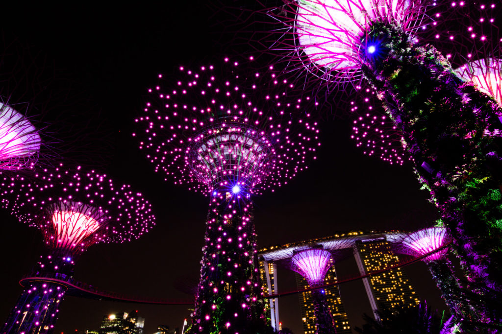 Supertree Grove, Singapore