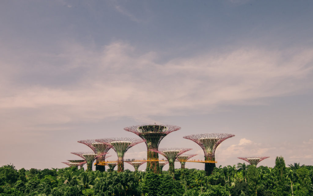 Gardens by the Bay, Singapore