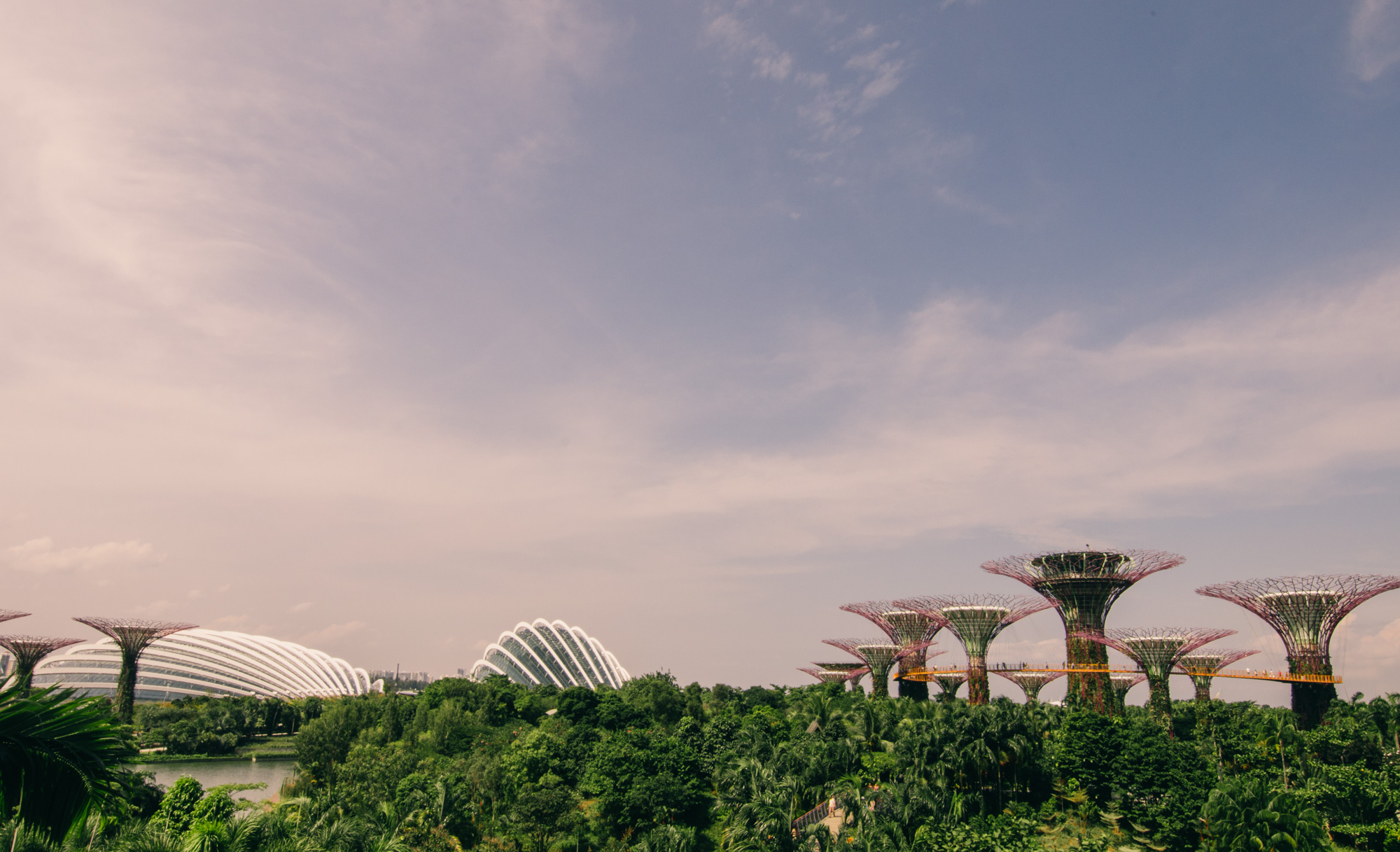 Supertree Grove, Singapore