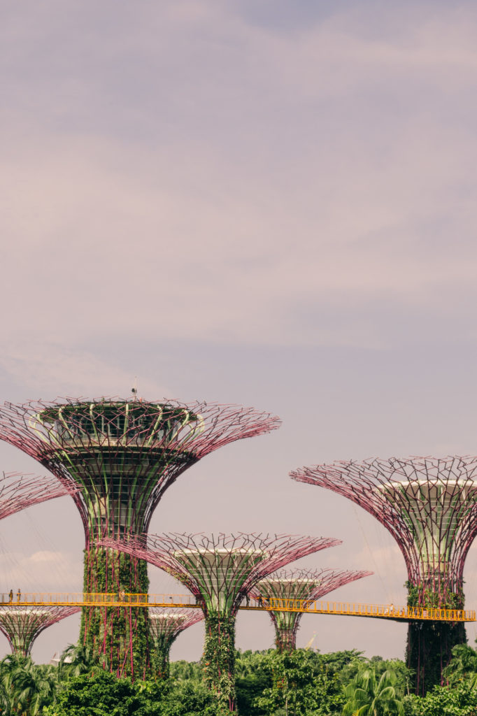 Supertree Grove, Singapore