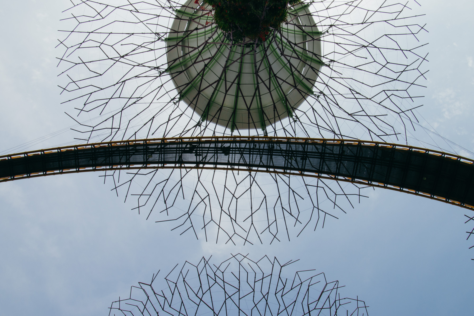 Supertree Grove, Singapore