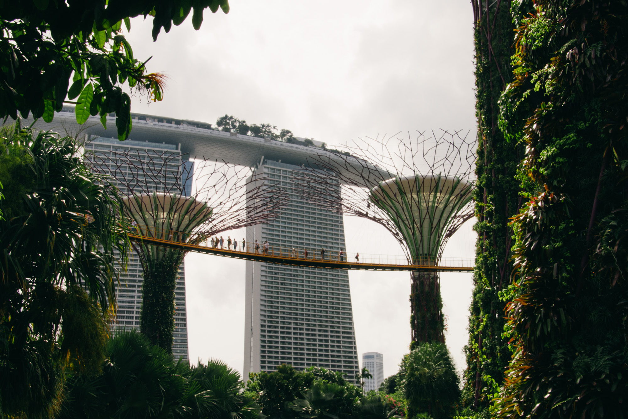 Gardens by the Bay, Singapore