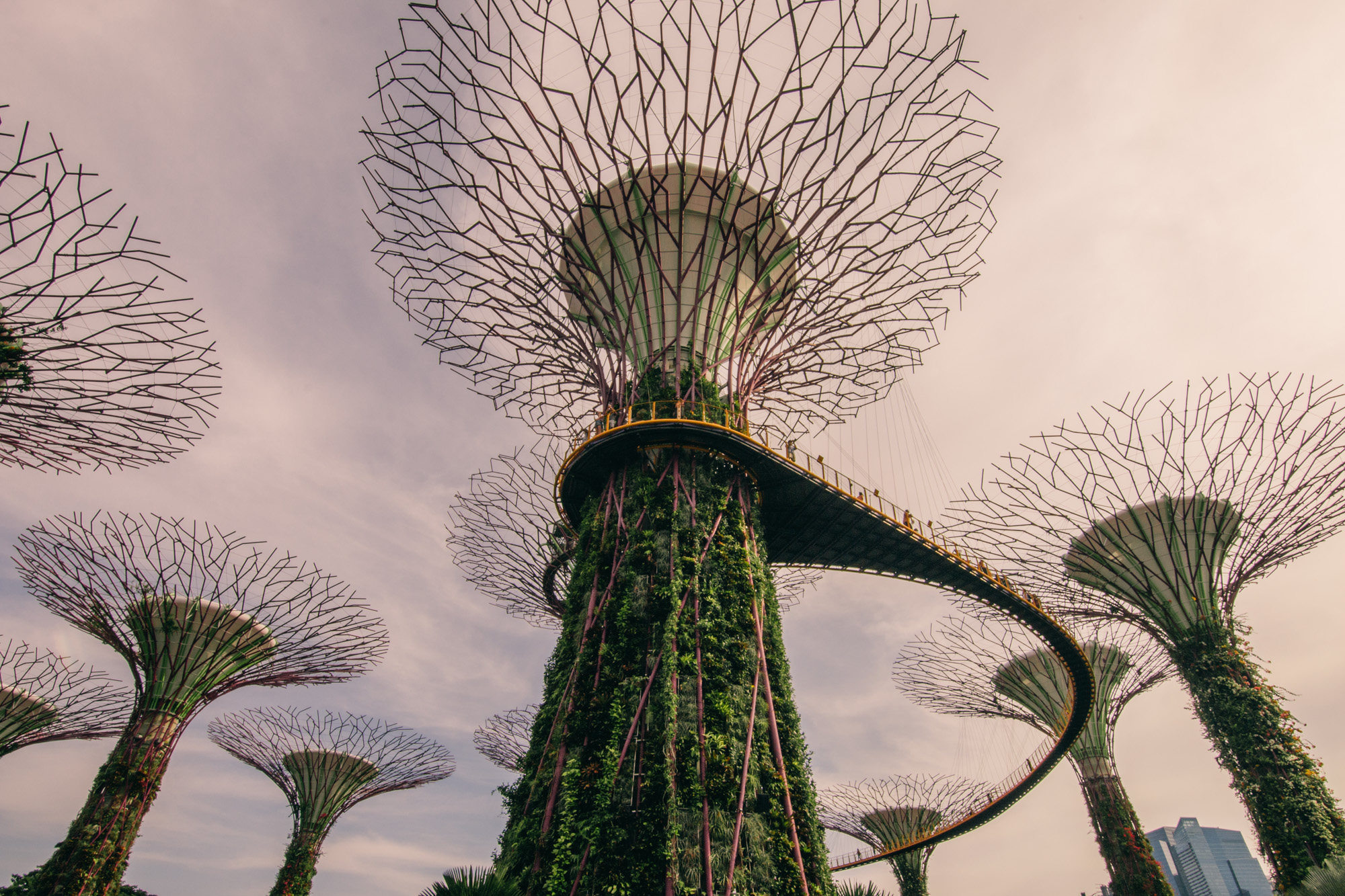 Gardens by the Bay, Singapore