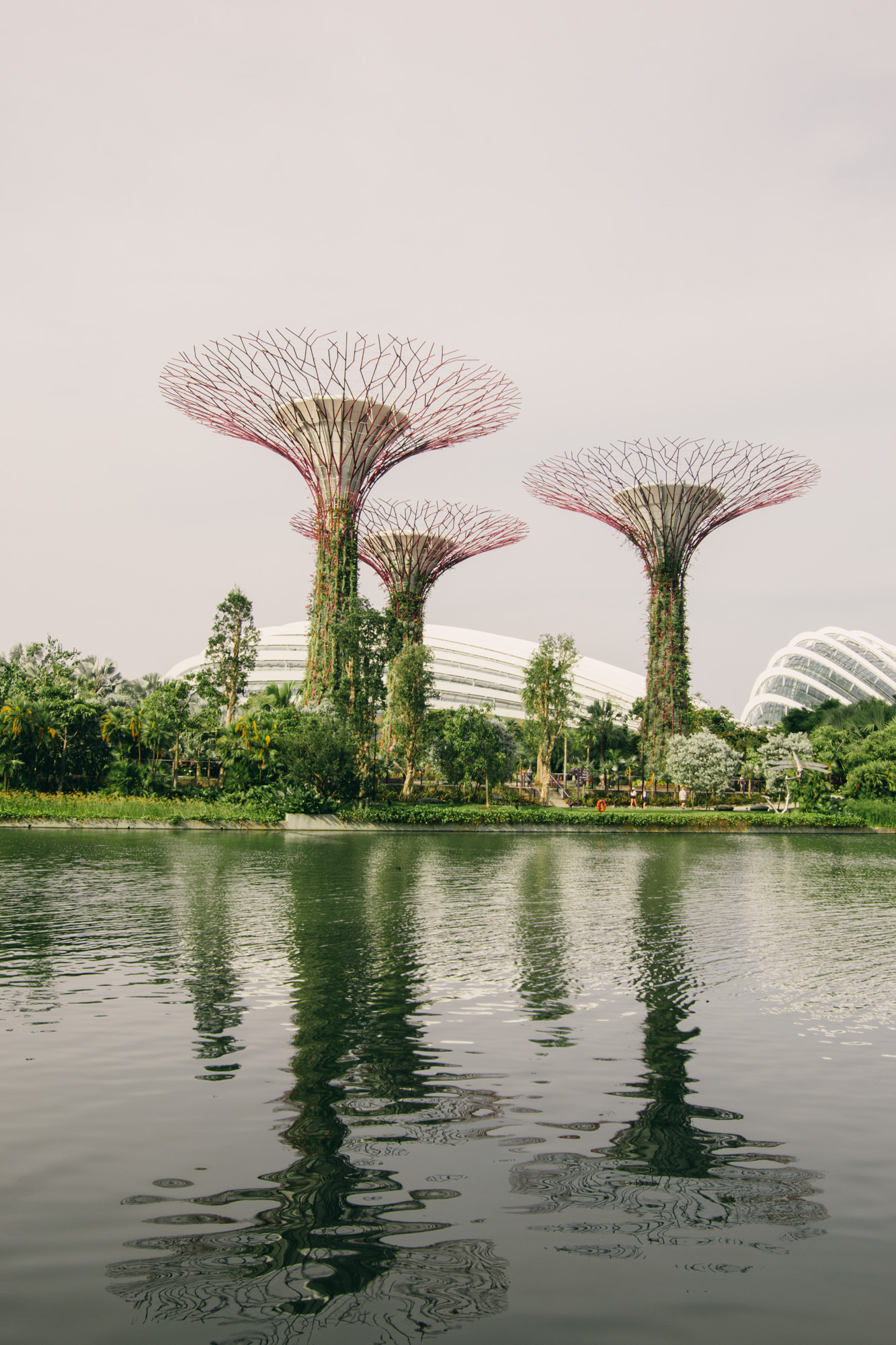 Gardens by the Bay, Singapore