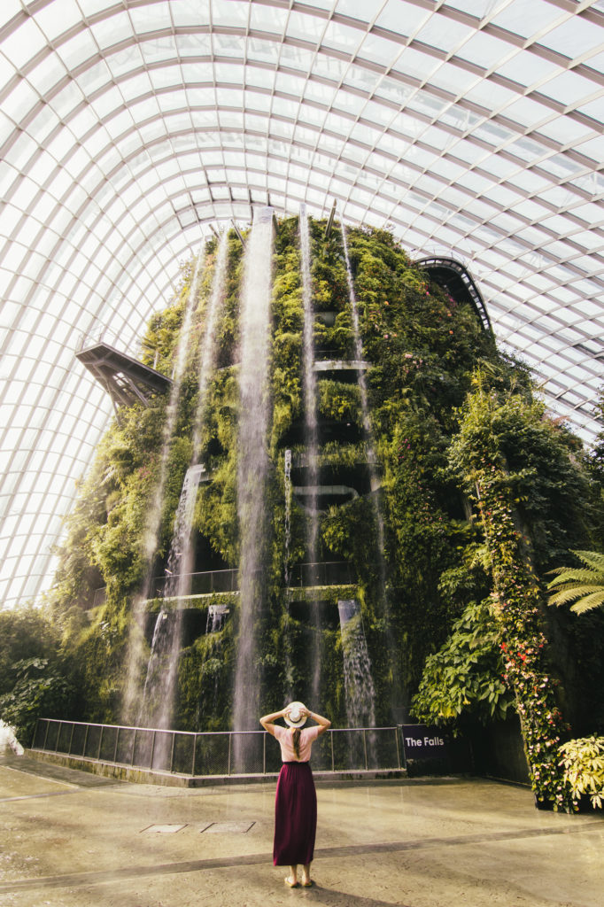 Cloud Forest, Singapore