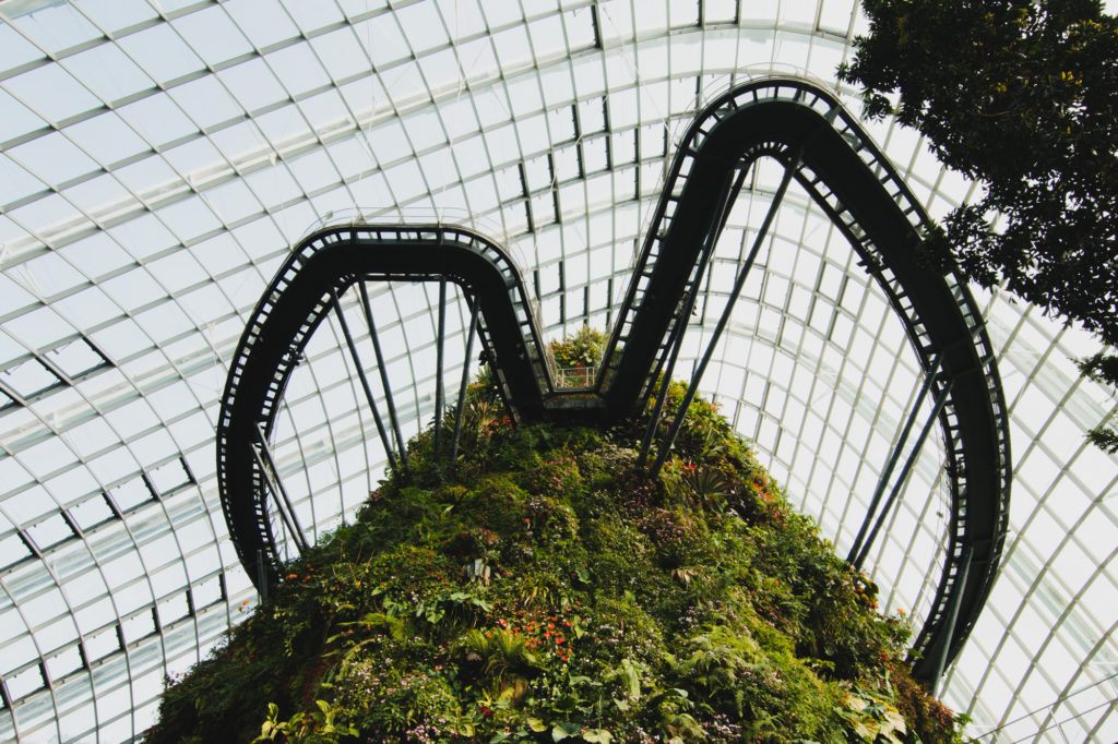 Cloud Forest, Singapore