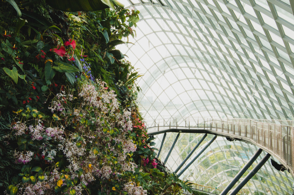 Cloud Forest, Singapore