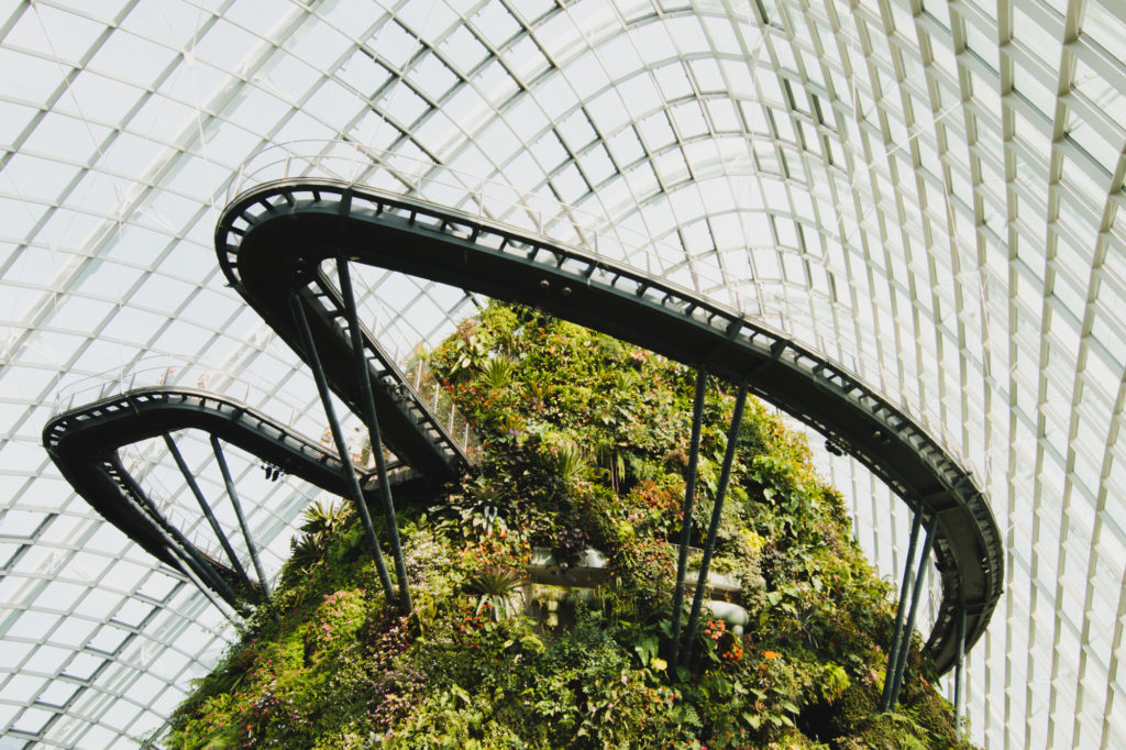 Cloud Forest, Singapore