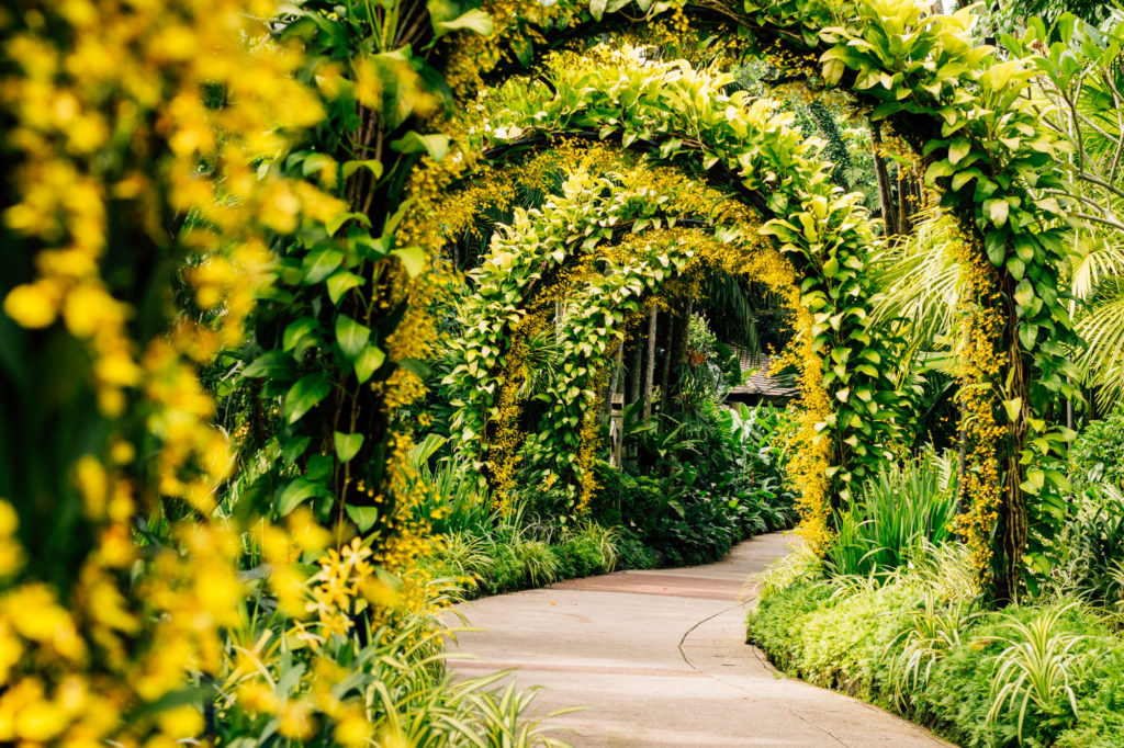 Botanical Garden, Singapore